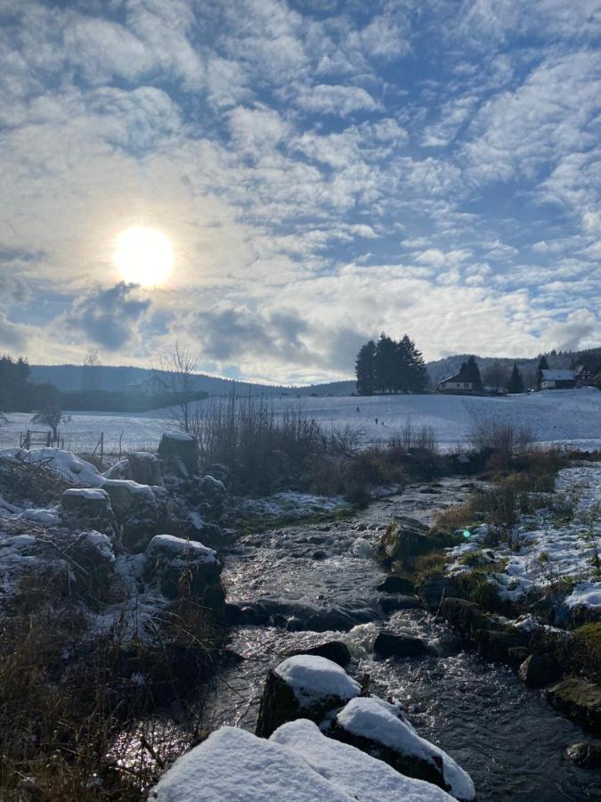 Gite Au Cours D'Eau Le Hohwald Esterno foto