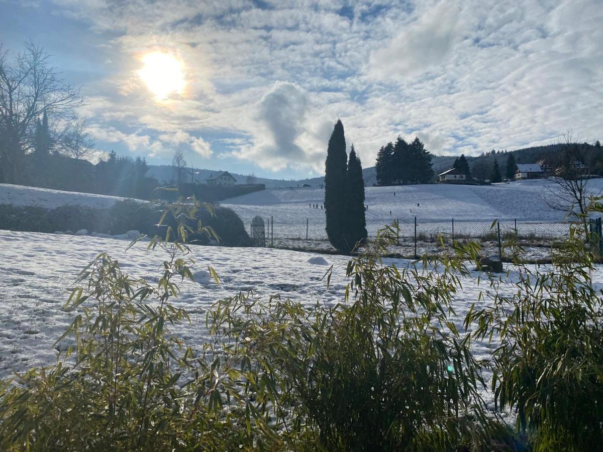 Gite Au Cours D'Eau Le Hohwald Esterno foto