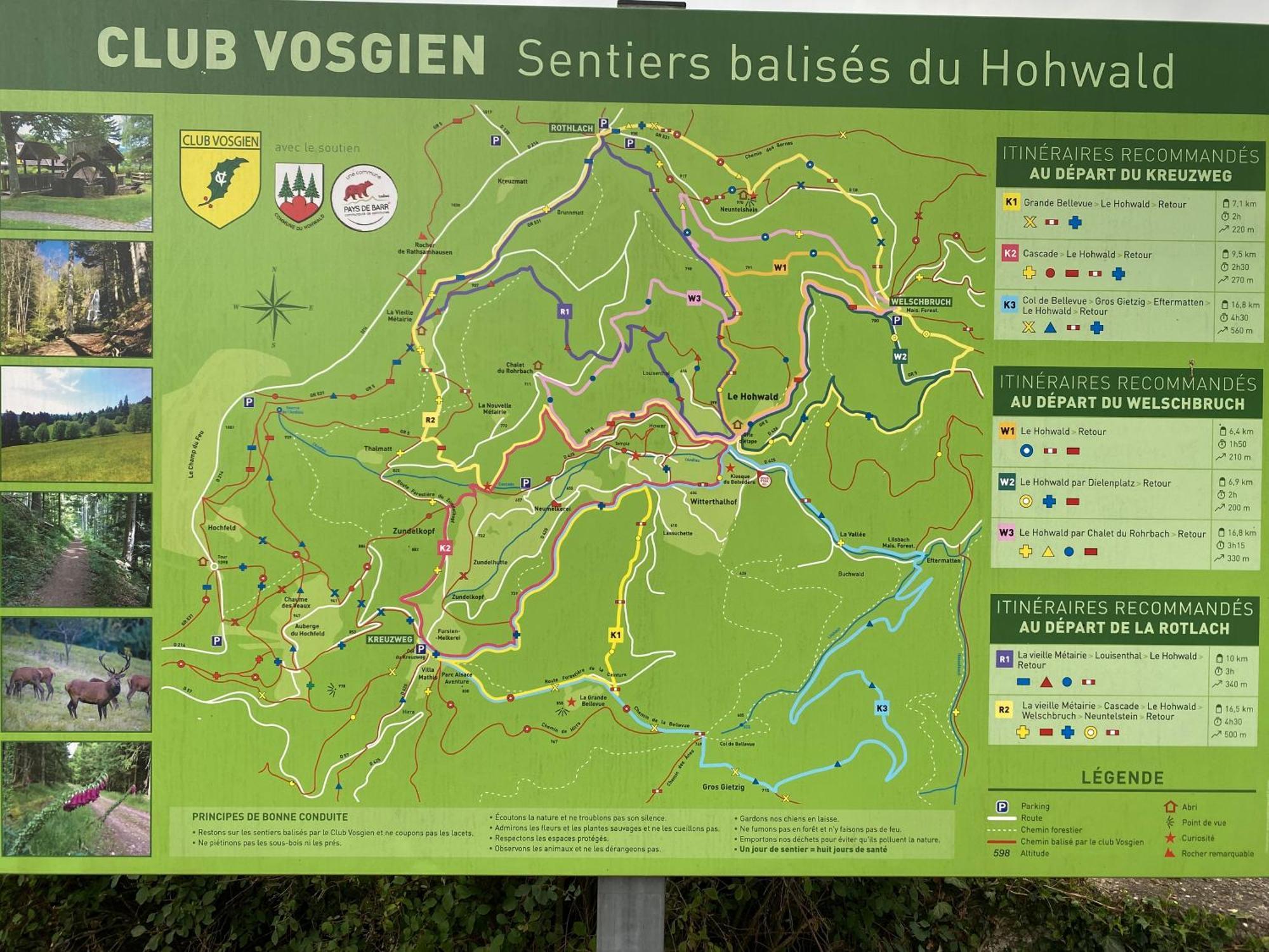 Gite Au Cours D'Eau Le Hohwald Esterno foto